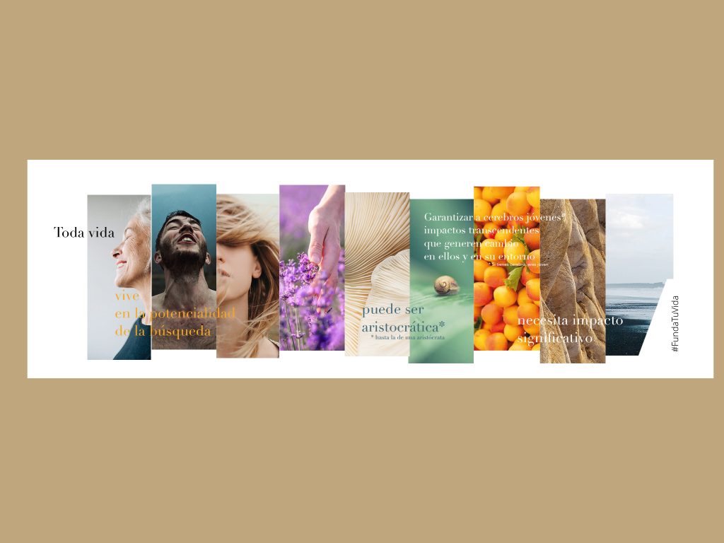 Rediseño vinilos Pared interior Visión Fundación Tatiana Guzmán El Bueno